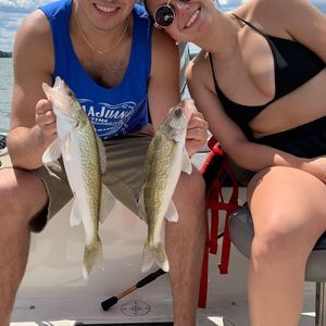 Meet your Posher, Sydney